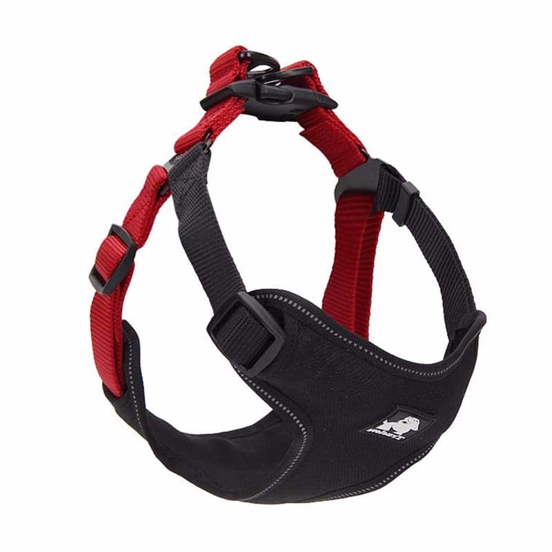 Dog Leash with Collar for Walking Your Dog