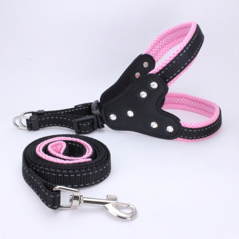 Dog Triangle Harness with Teddy Leash and Strap