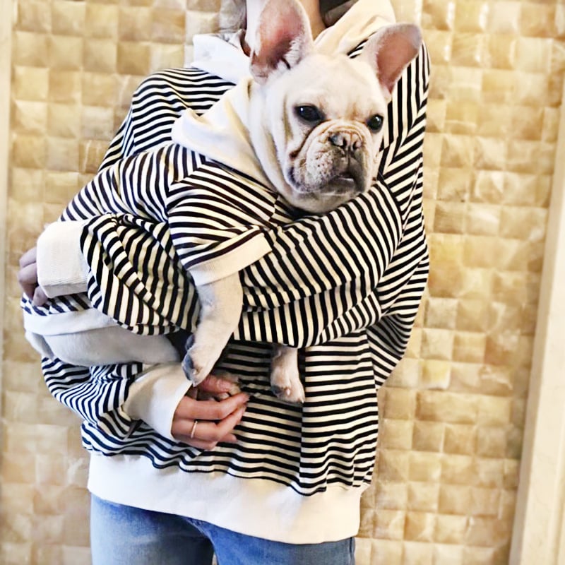 Small Dog Fashion Terry Sweater by Teddy Brand