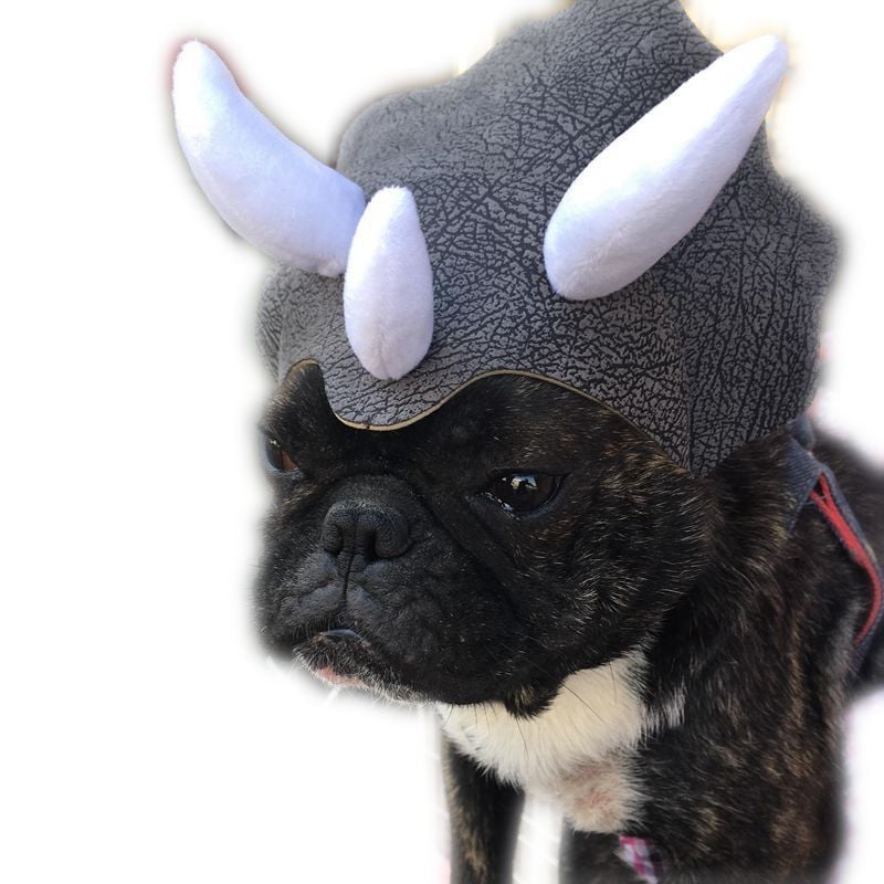 Pet Triceratops Dinosaur Hat for Dogs and Cats
