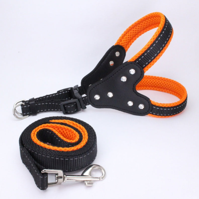 Dog Triangle Harness with Teddy Leash and Strap