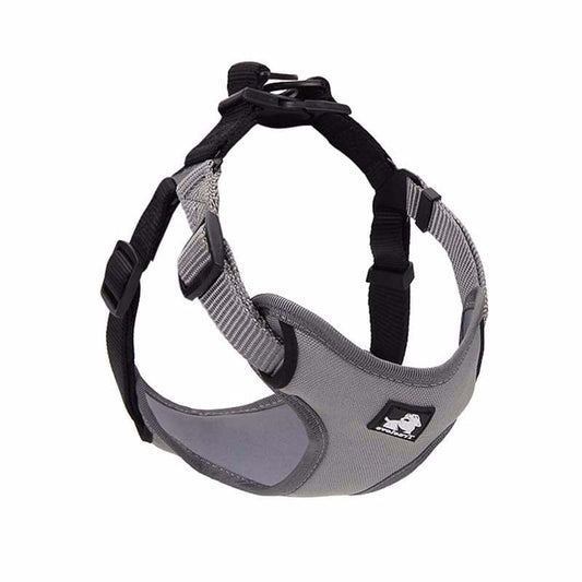Dog Leash with Collar for Walking Your Dog